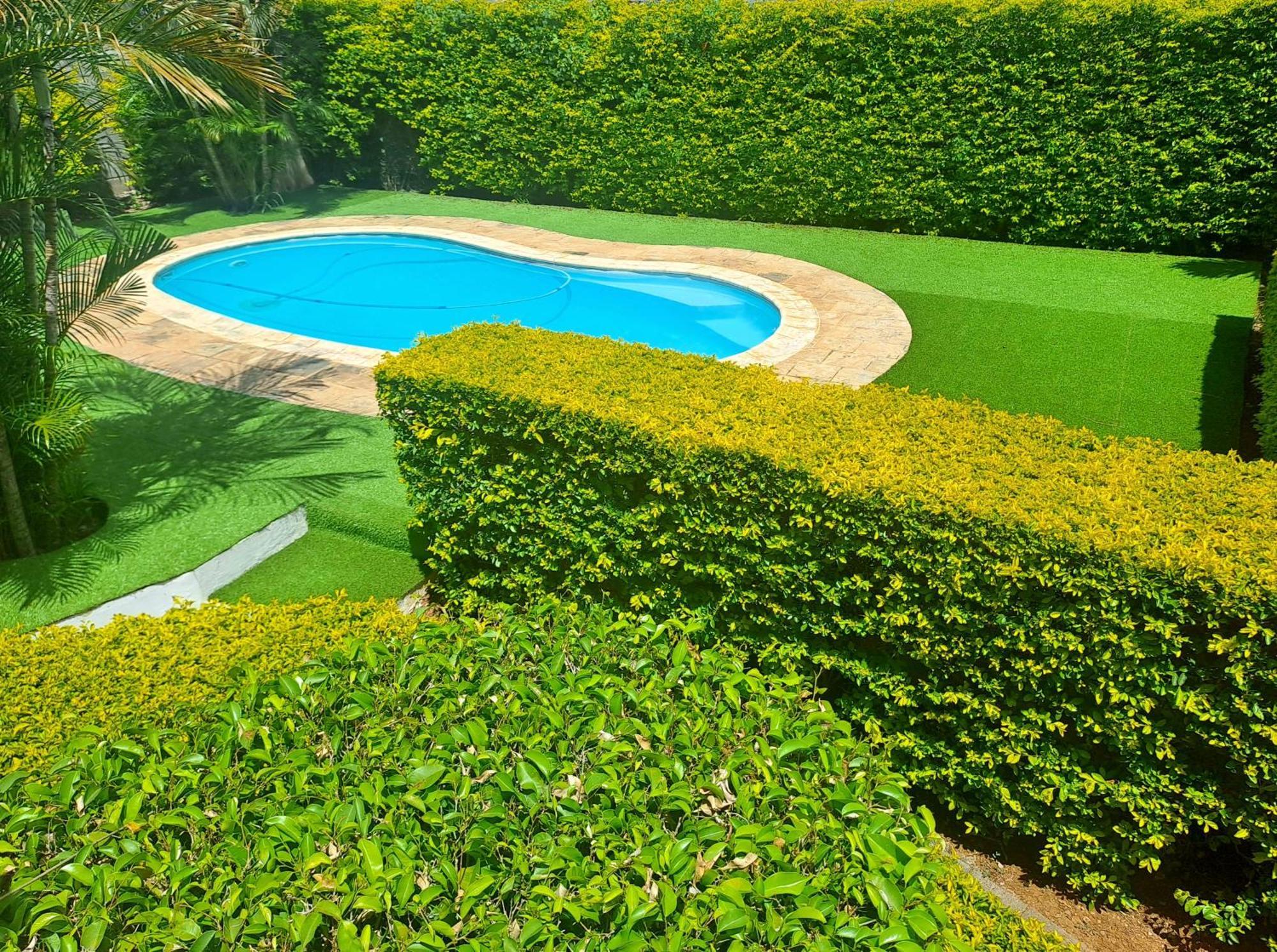 Appartement Paisible Avec Jardin & Piscine Albion Kültér fotó